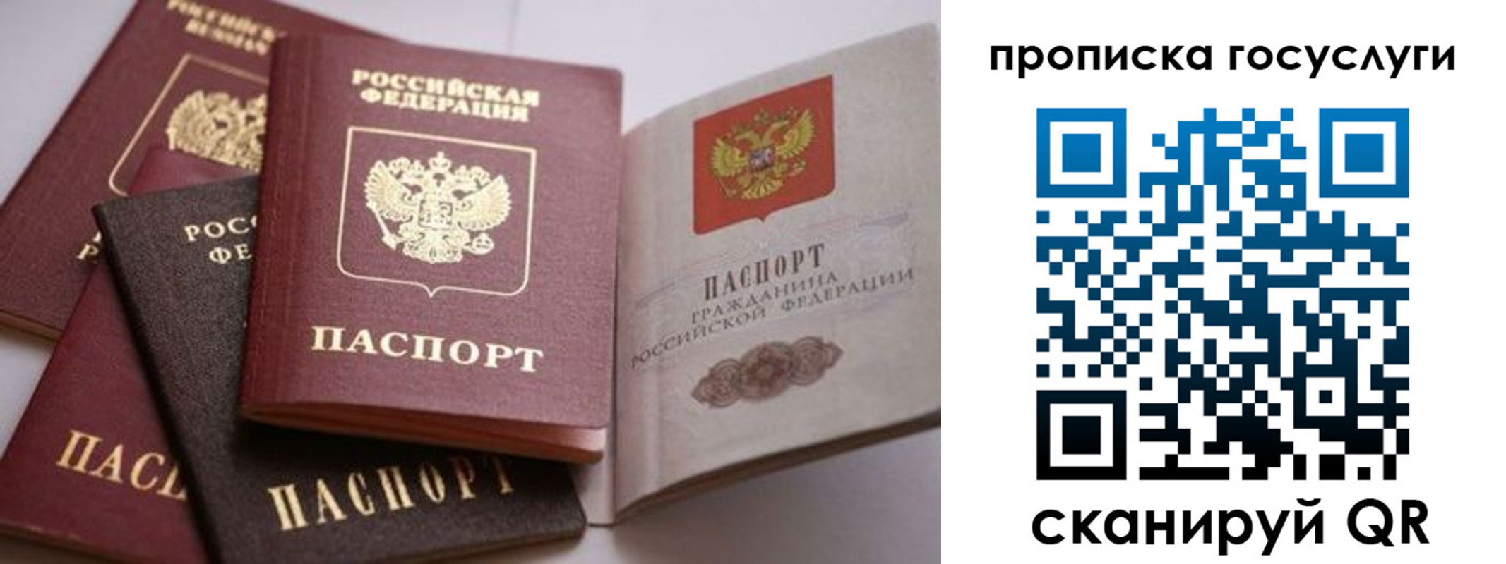 прописка штамп в Борисоглебске